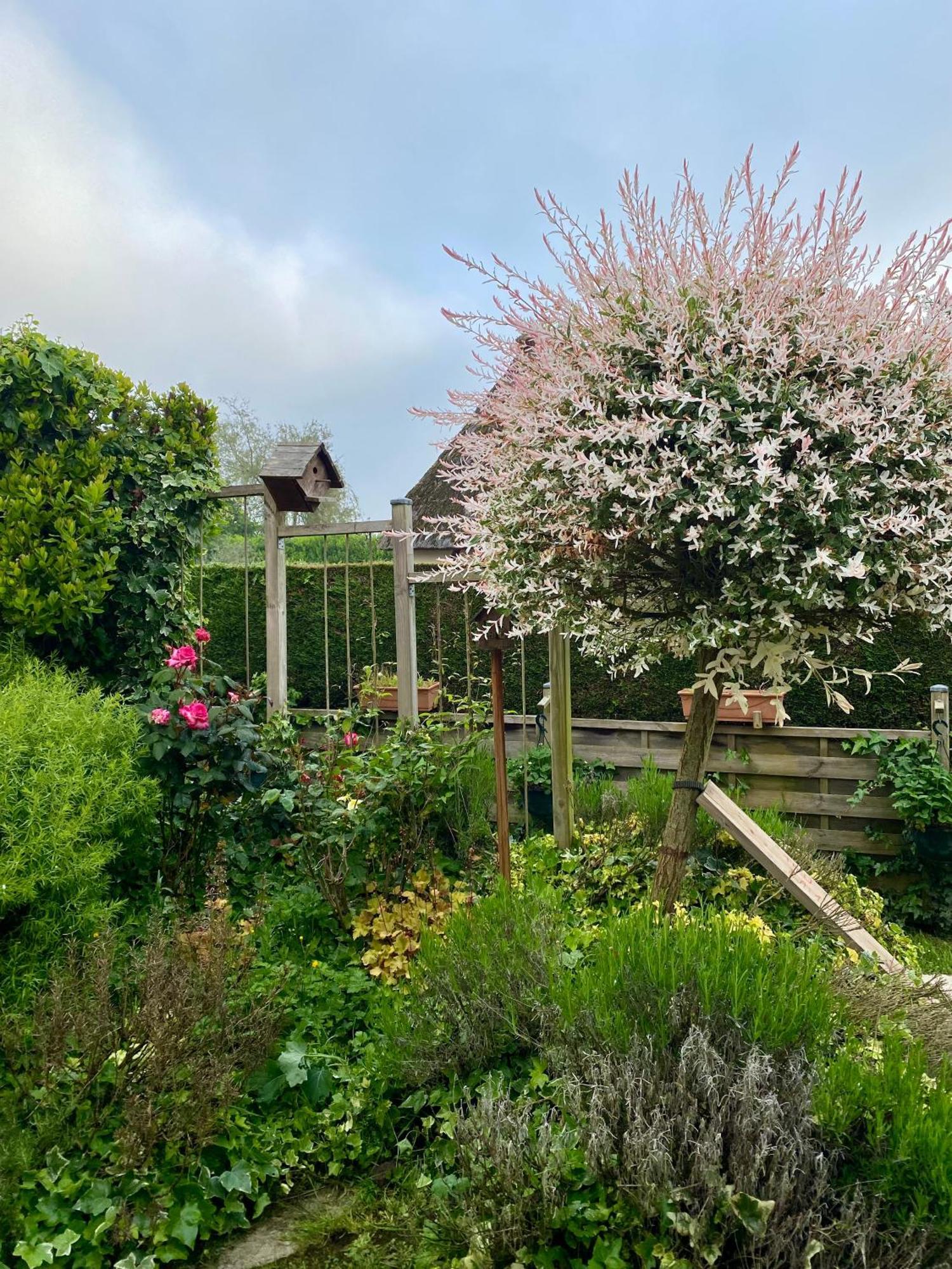 Chambres Tout Confort Du Tilleul Bosc-Benard-Commin Εξωτερικό φωτογραφία