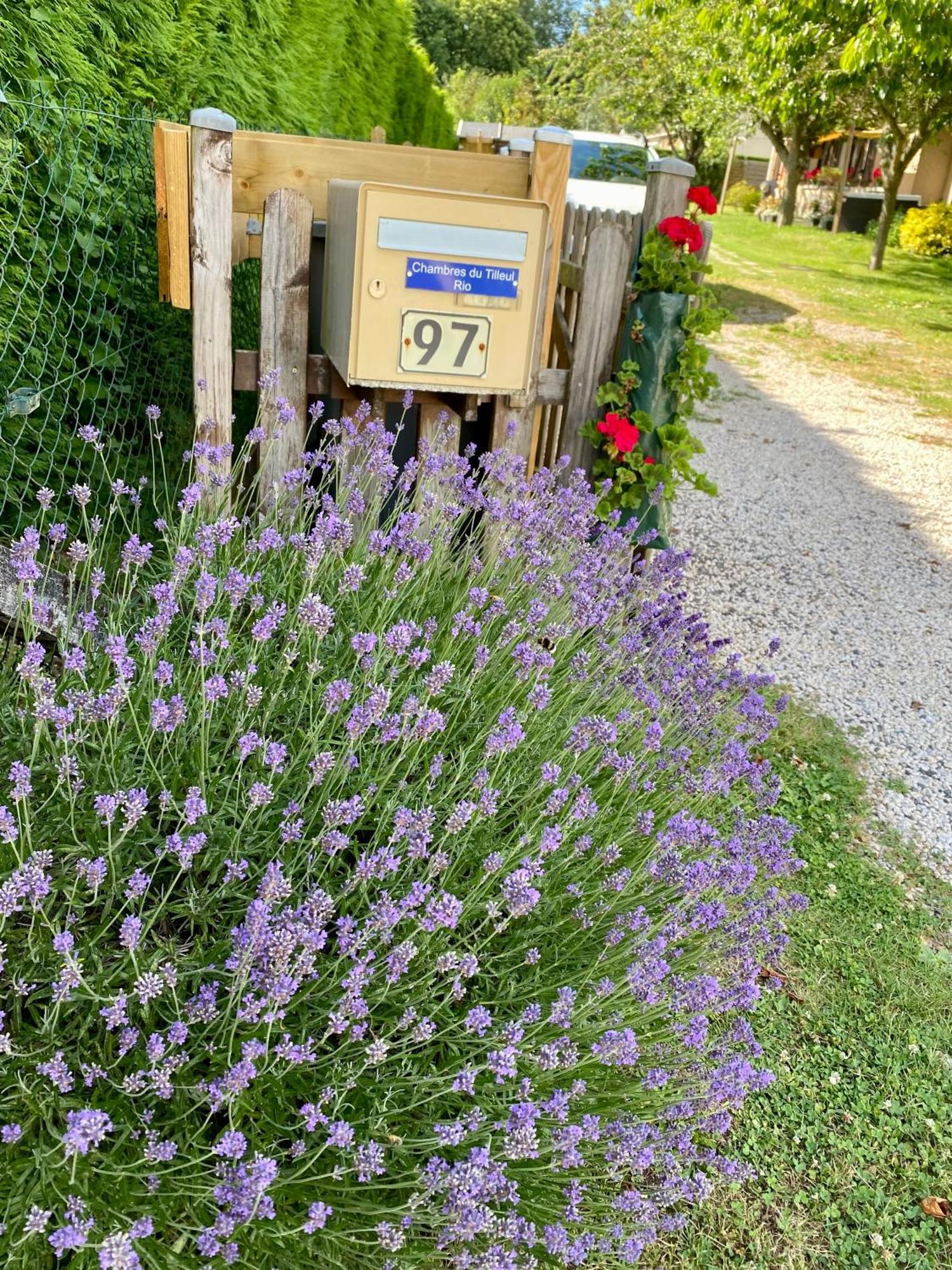 Chambres Tout Confort Du Tilleul Bosc-Benard-Commin Εξωτερικό φωτογραφία